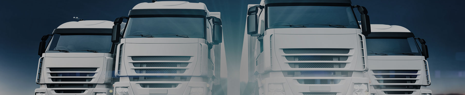 Banner Superior - Sección Proyectos